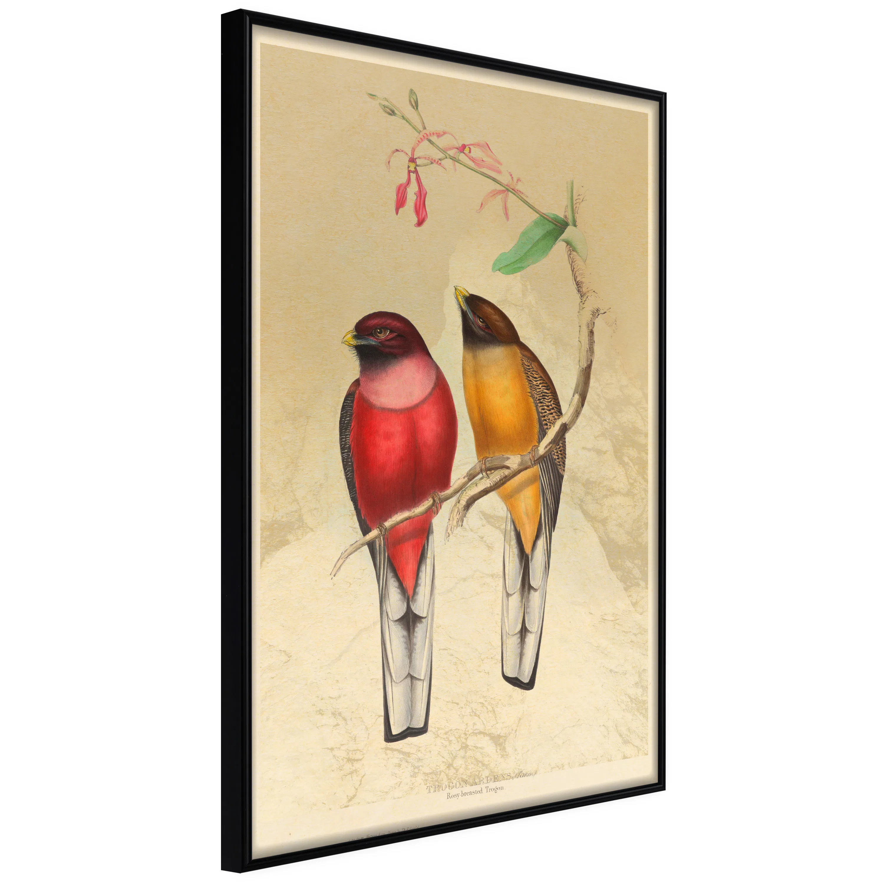 Poster Artgeist Affisch Birds Twig