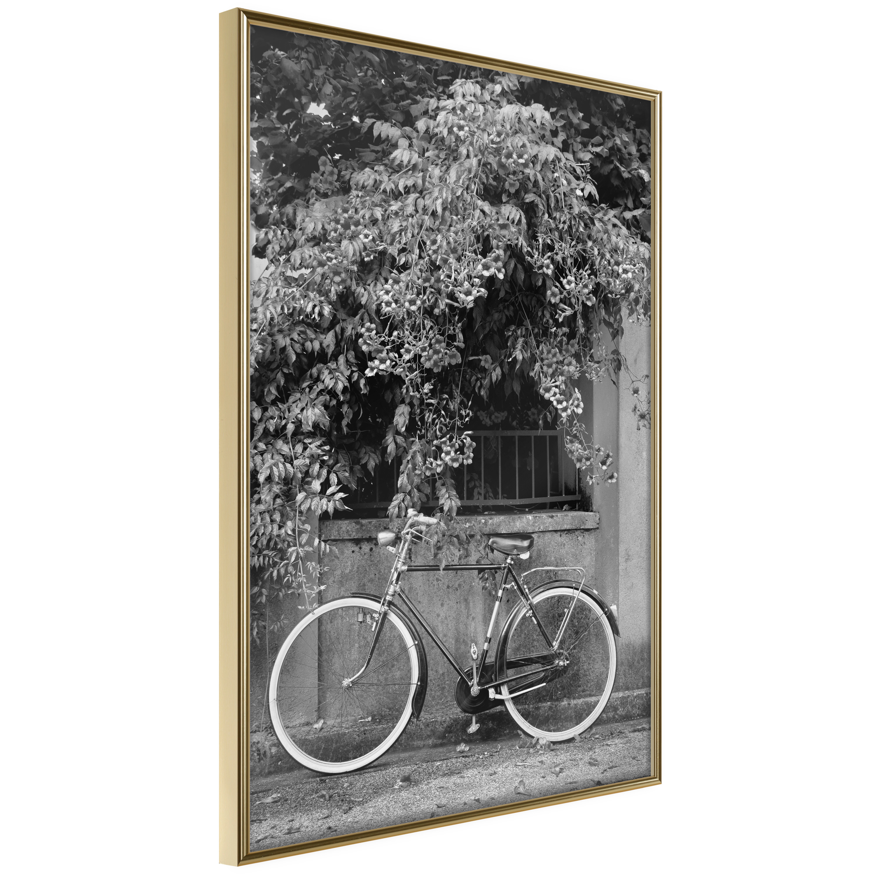 Affisch - Bicycle and Flowers [Poster] 30x45 Guld ram, 30x45 cm