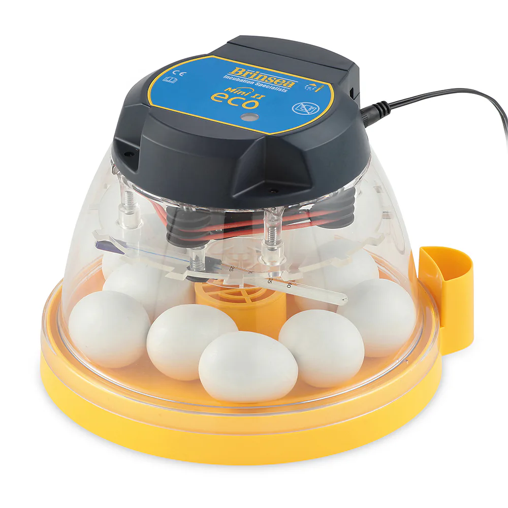 Äggkläckare Brinsea Mini II Eco