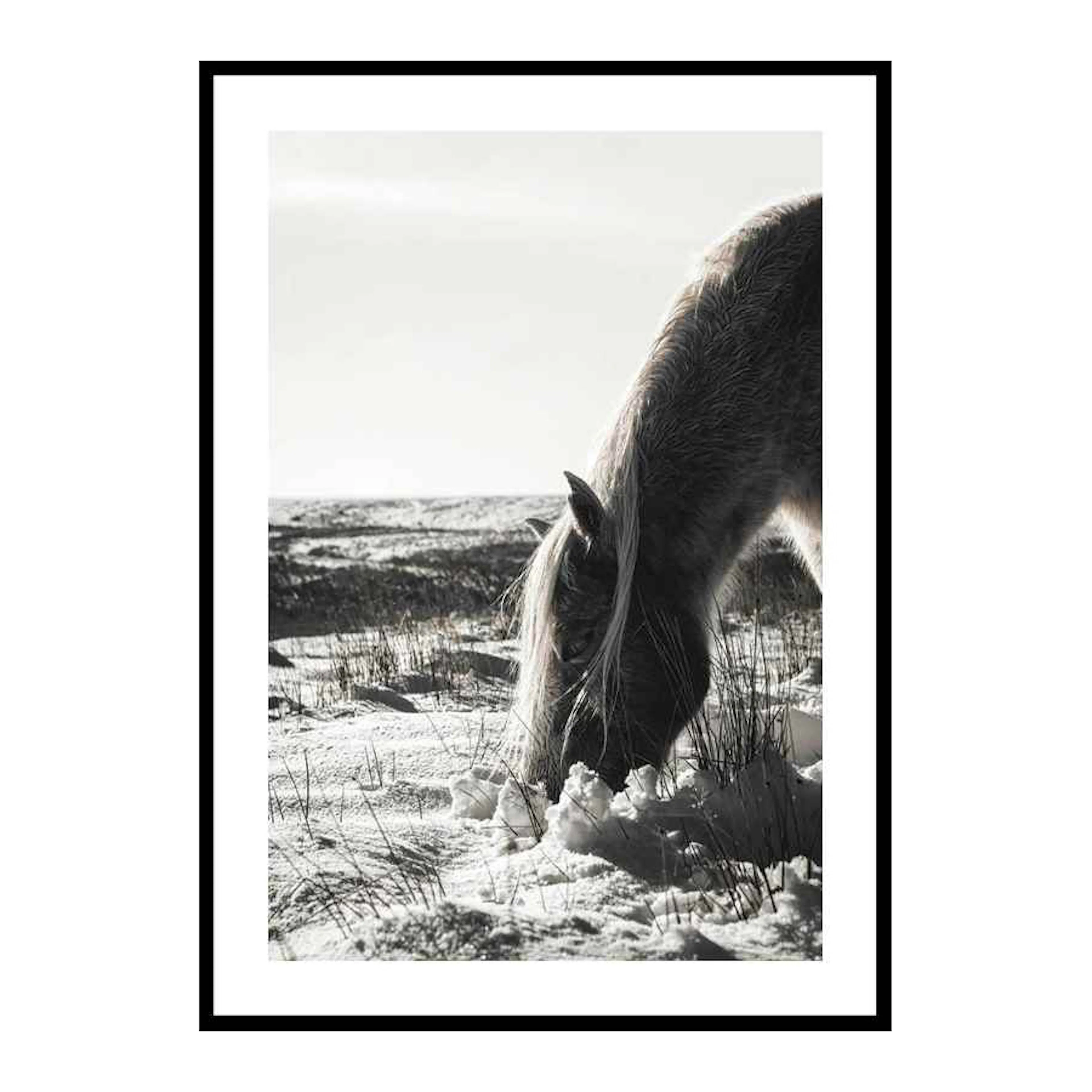 Winter Horse 30x40 cm
