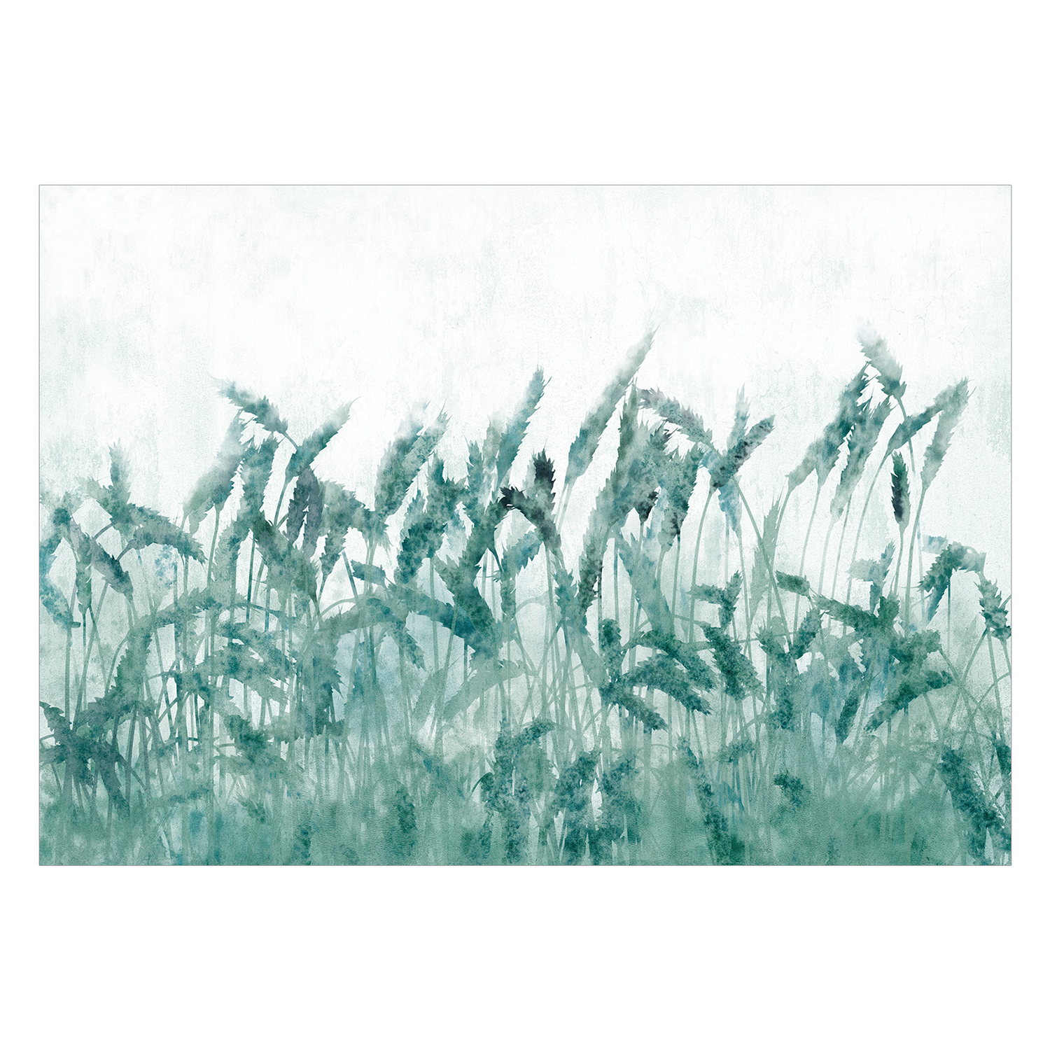 Fototapet Arkiio Blue Ears of Wheat