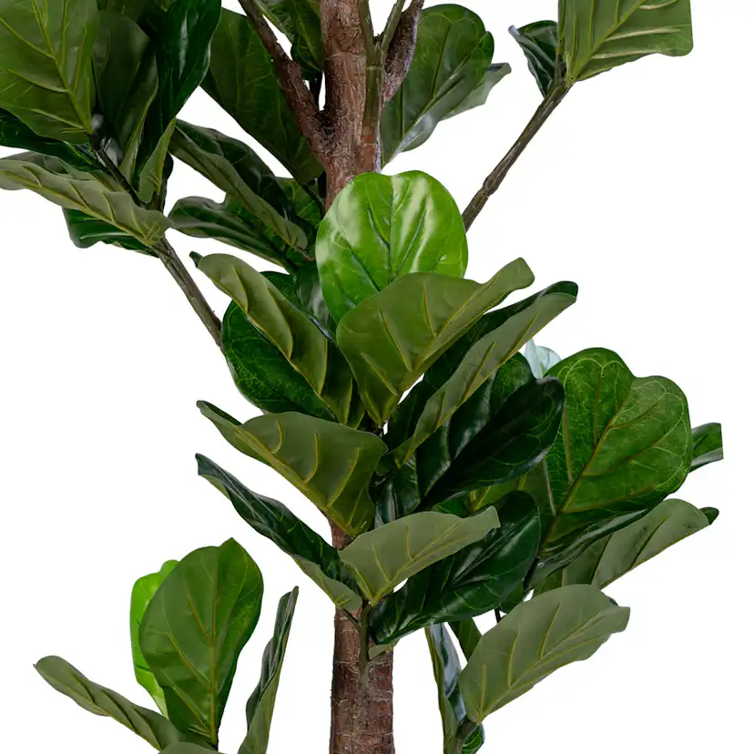 Konstväxt House Nordic Fiddle 190 cm