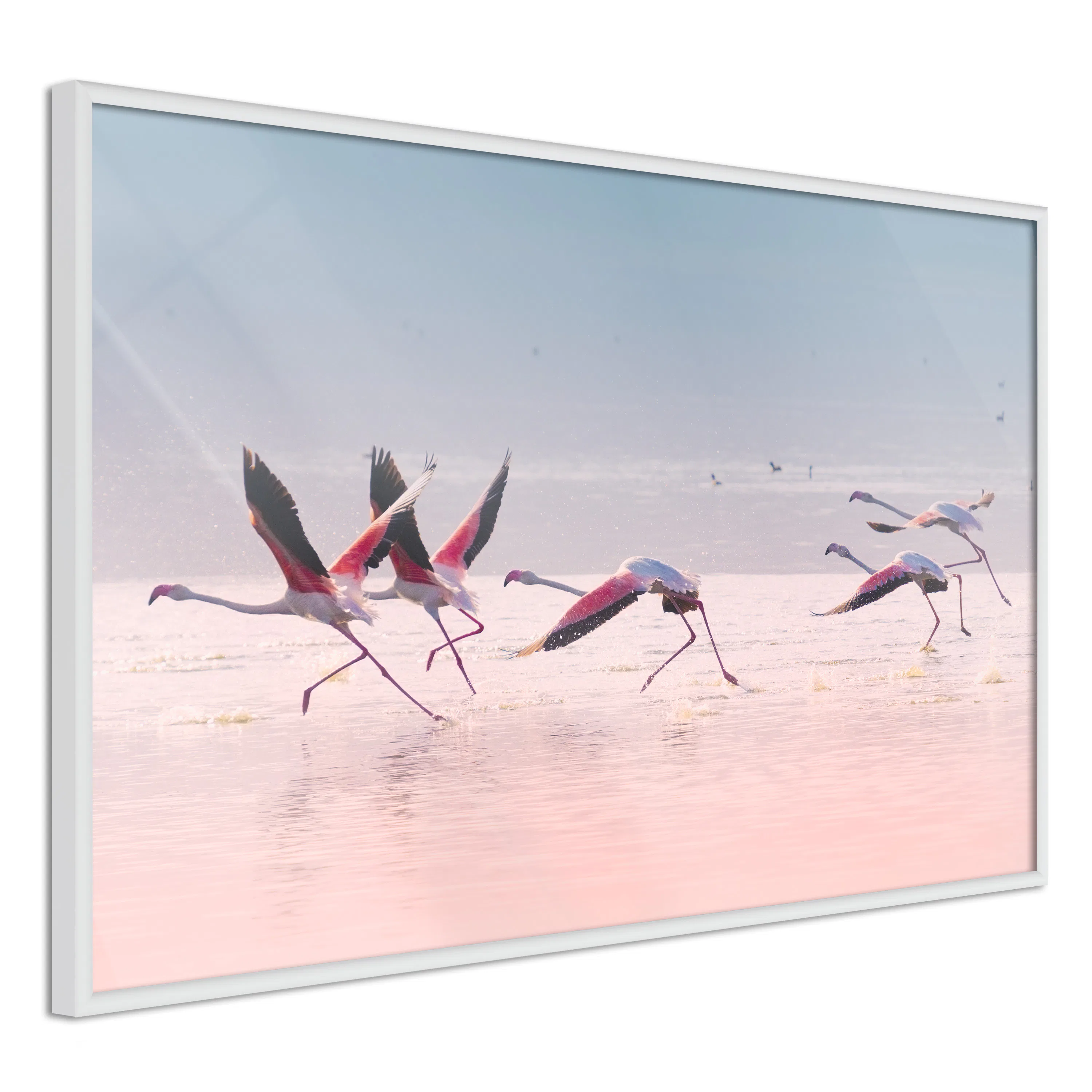 Poster Artgeist Affisch Flamingos Race