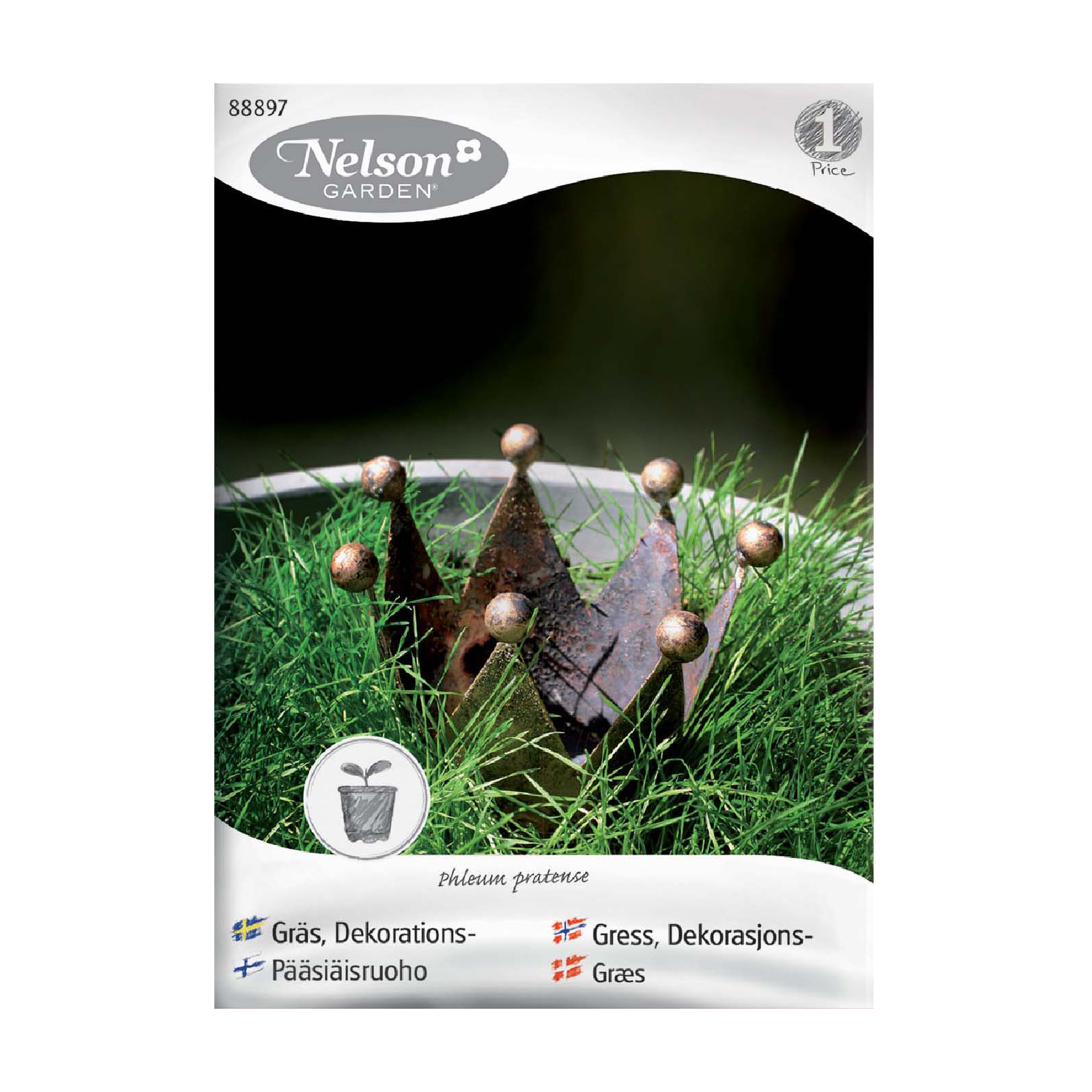 Frö Dekorationsgräs Nelson Garden Inomhus