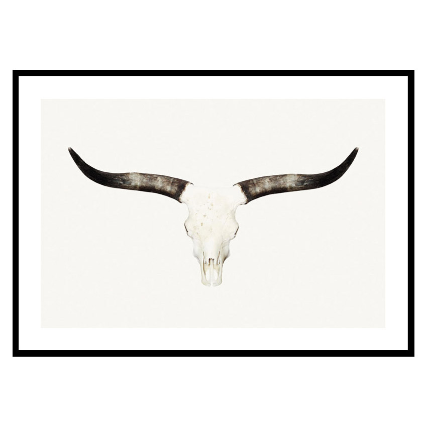 Poster Gallerix Animal Skull