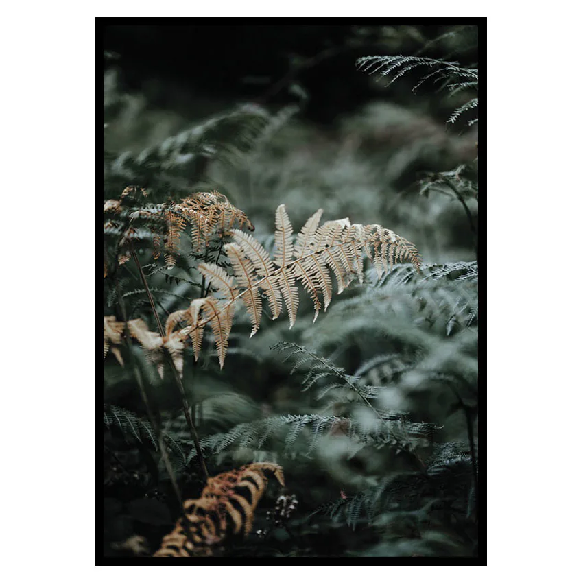 Poster Gallerix Fern No2