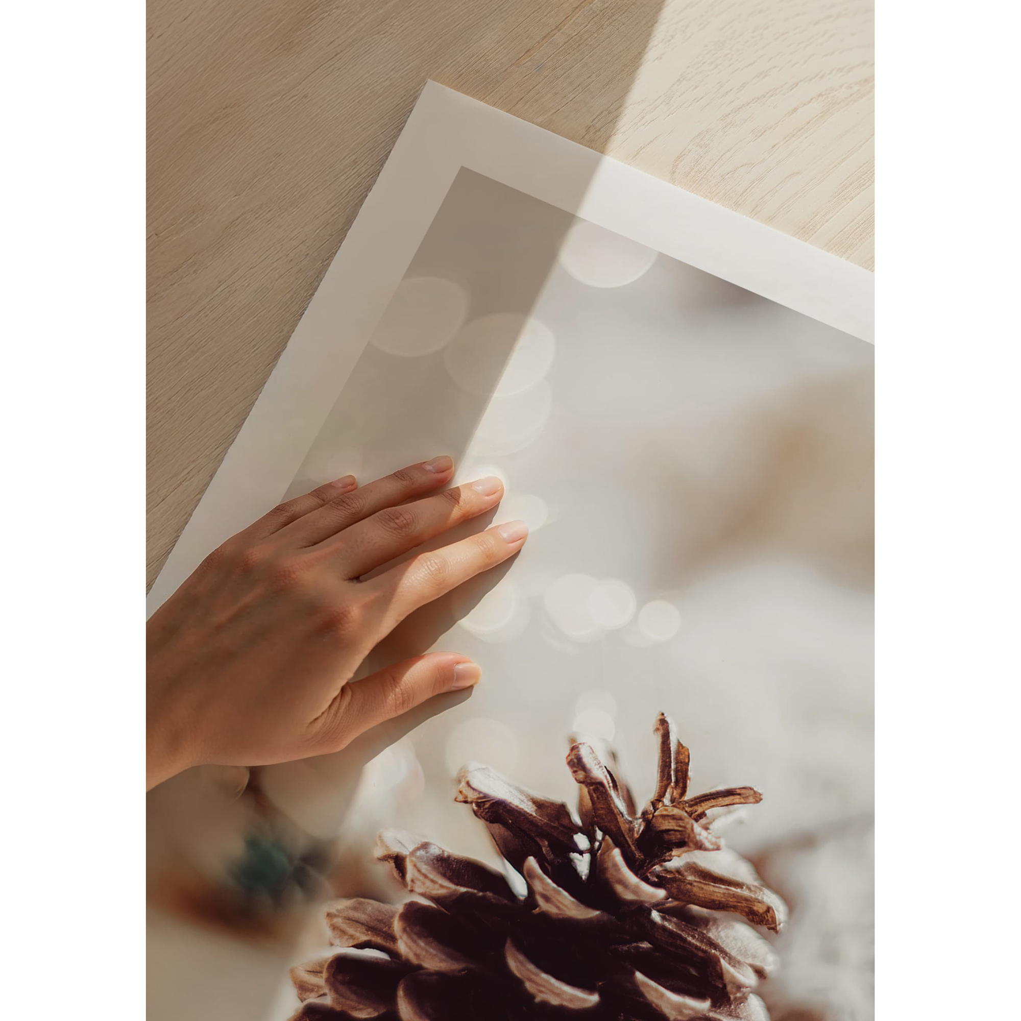 Poster Gallerix Fir Cone