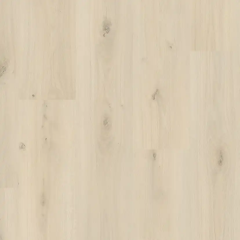 Laminatgolv Pergo Mandal Sea Stack Oak