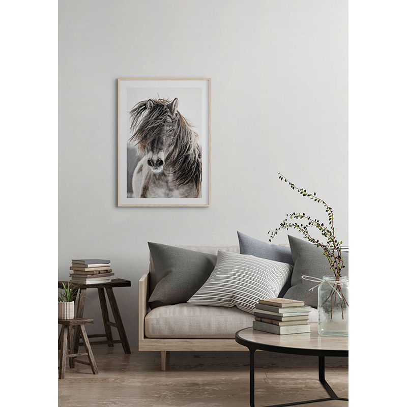 Poster Gallerix Wild Horse