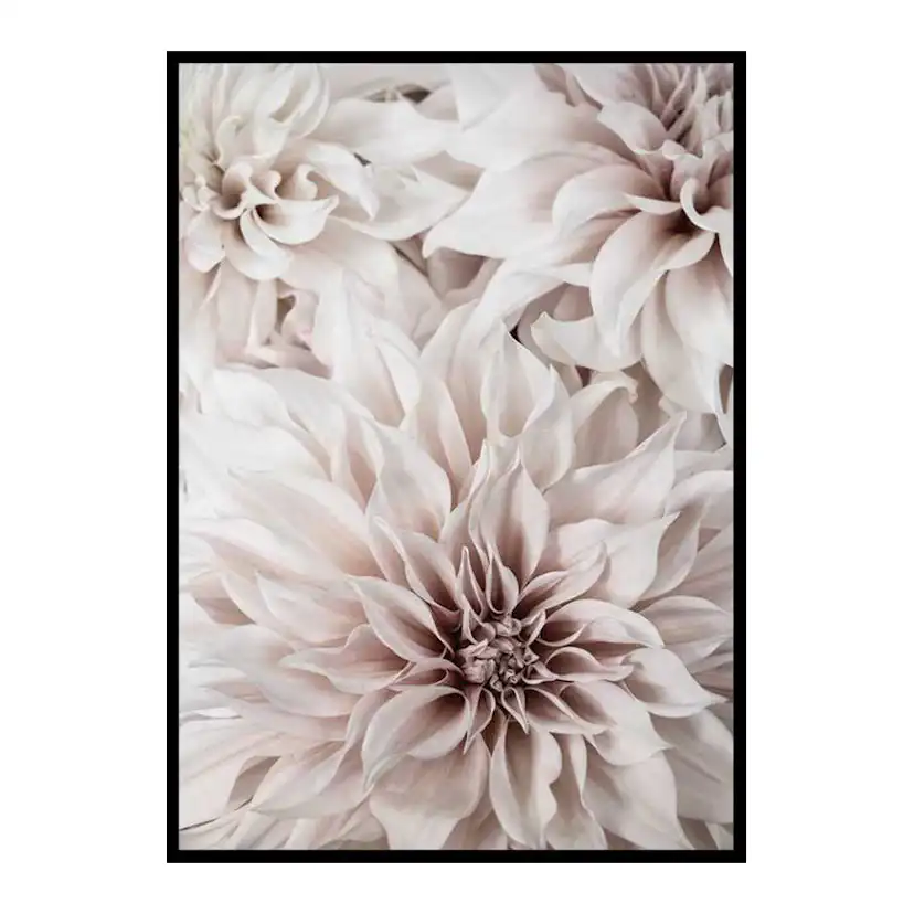 Poster Gallerix Pink Shaded Flowers