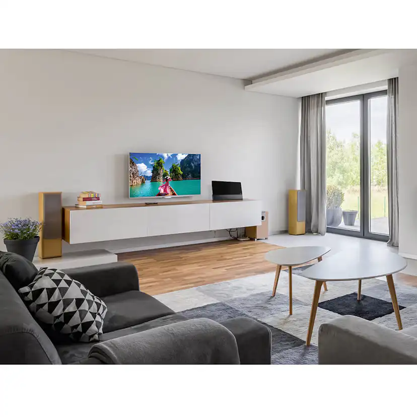 Inomhusantenn Hama Pro 55 DAB+/DAB/DVB-T2/FM Flat