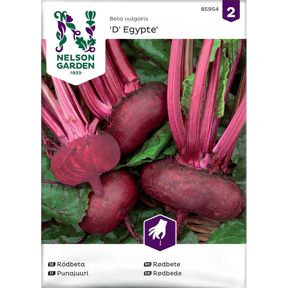Rödbeta Nelson Garden D' Egypte