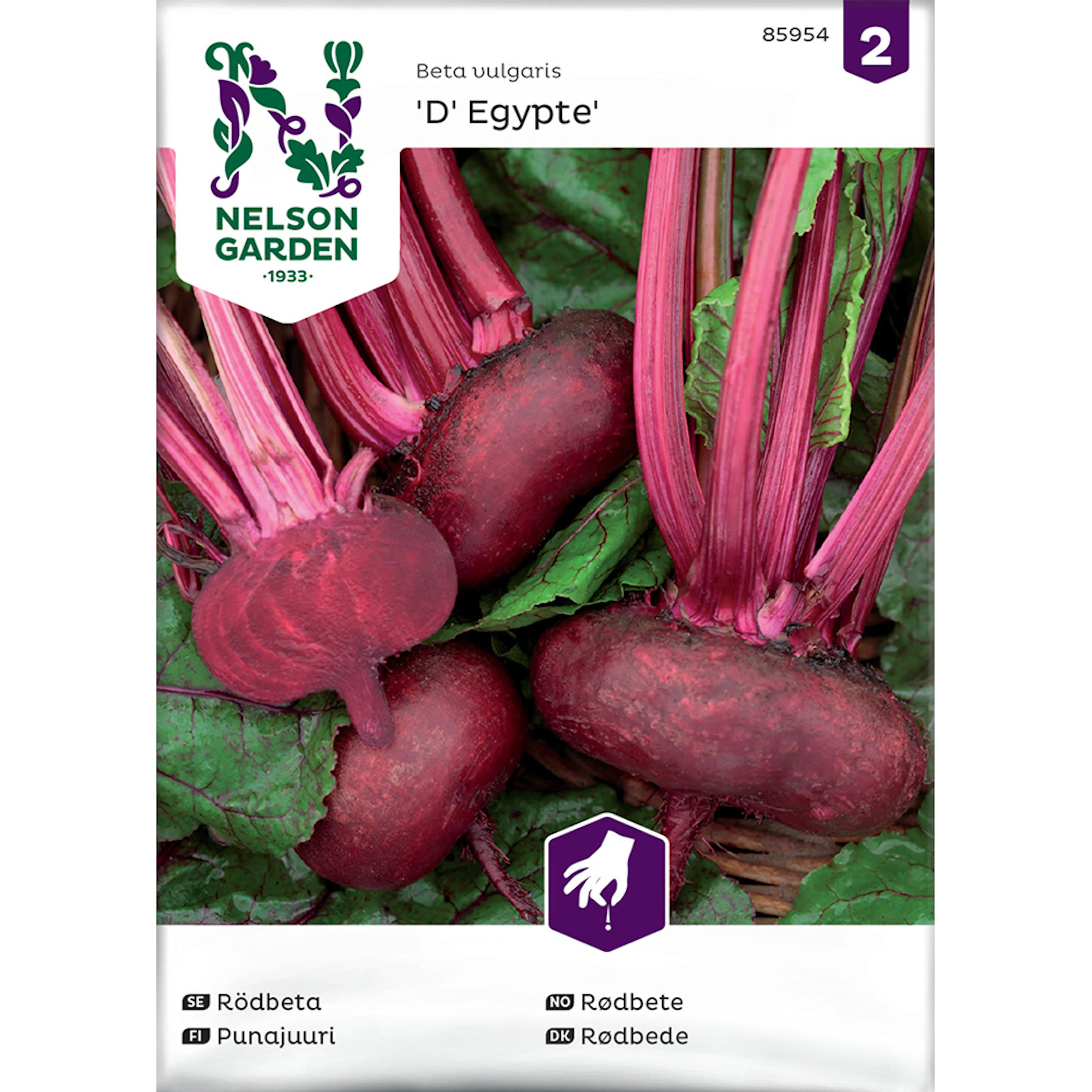 Rödbeta Nelson Garden D' Egypte