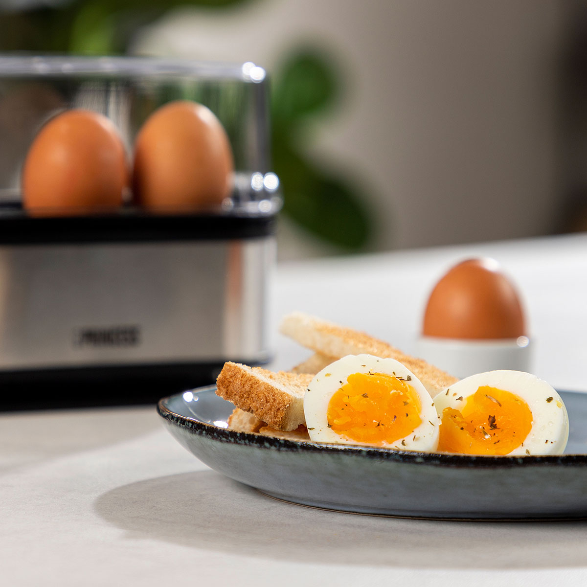 Äggkokare Princess 6 Ägg 400W Rostfritt Stål
