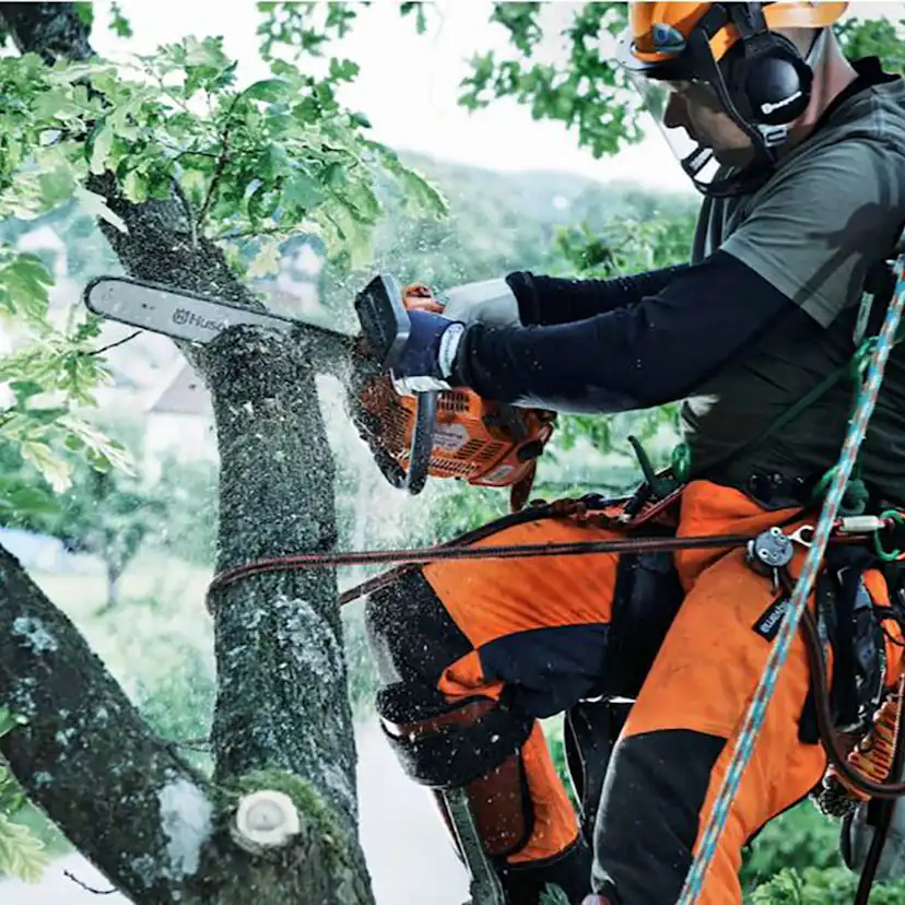 Motorsåg Husqvarna T540 XP