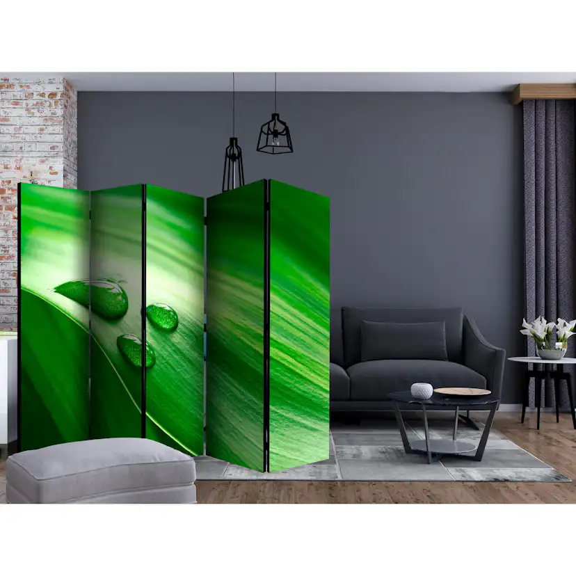 Rumsavdelare Skärmvägg Arkiio Leaf and Three Drops of Water II 225x172 cm