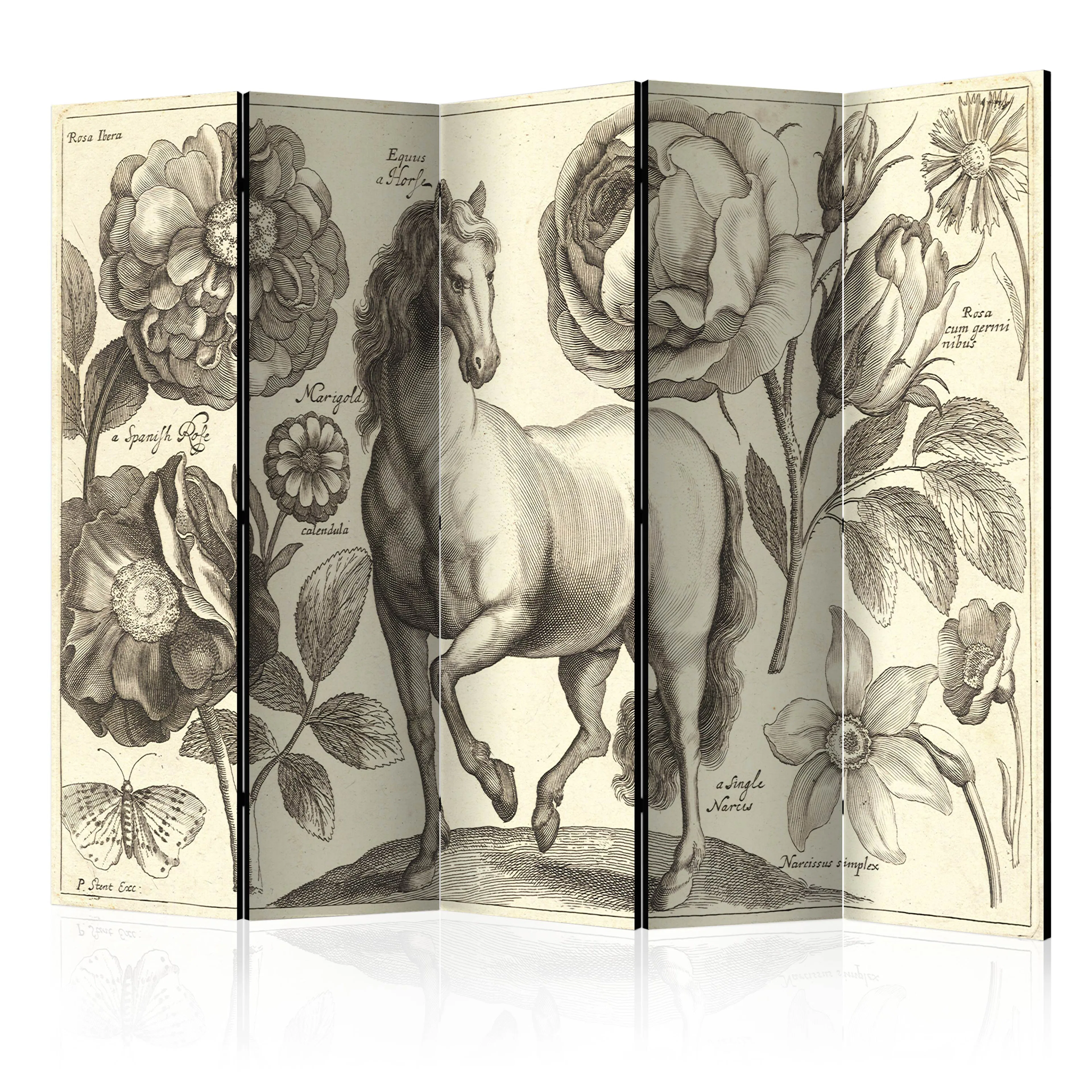 Rumsavdelare Skärmvägg Arkiio Horse II 225x172 cm