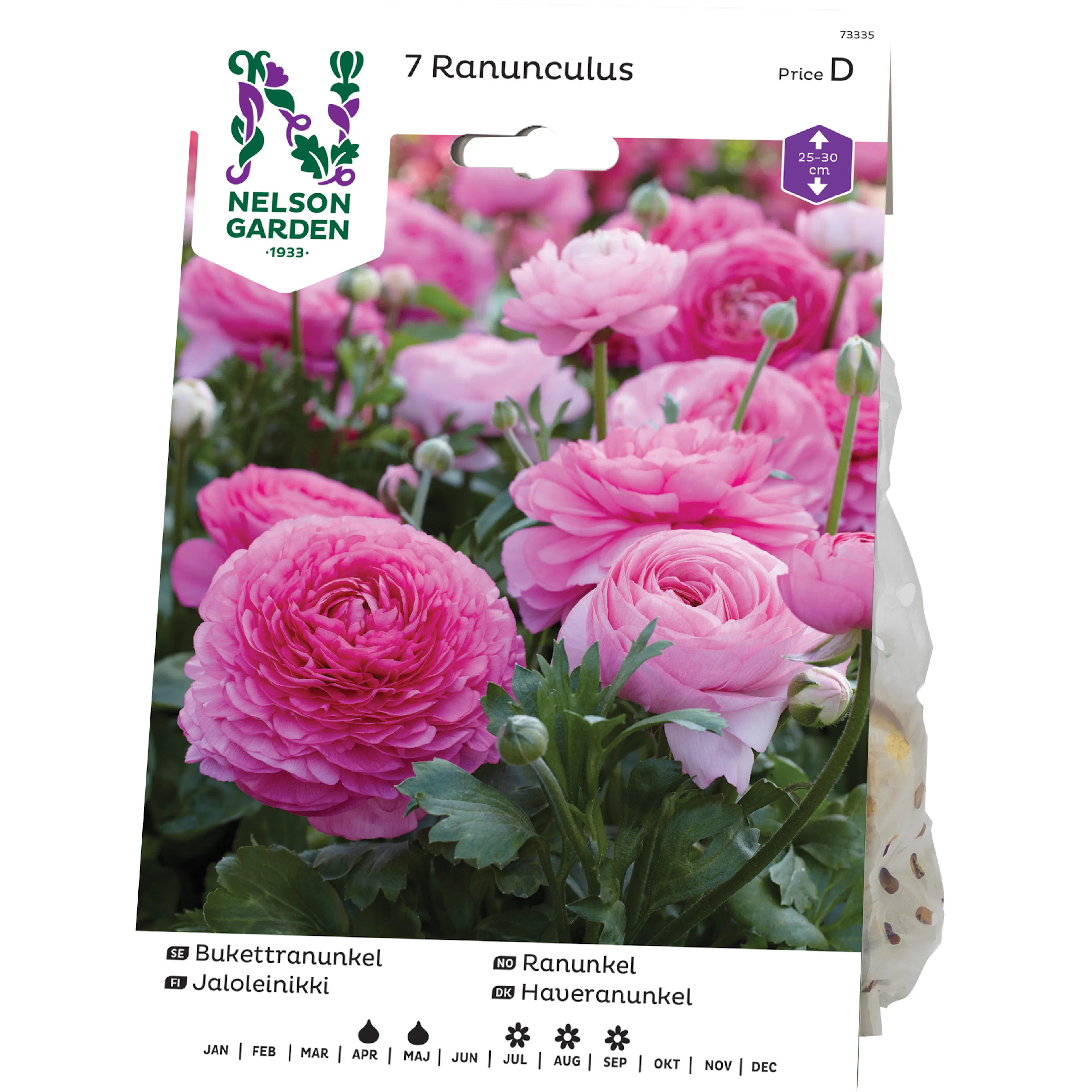 Bukettranunkel Nelson Garden Ranunculus
