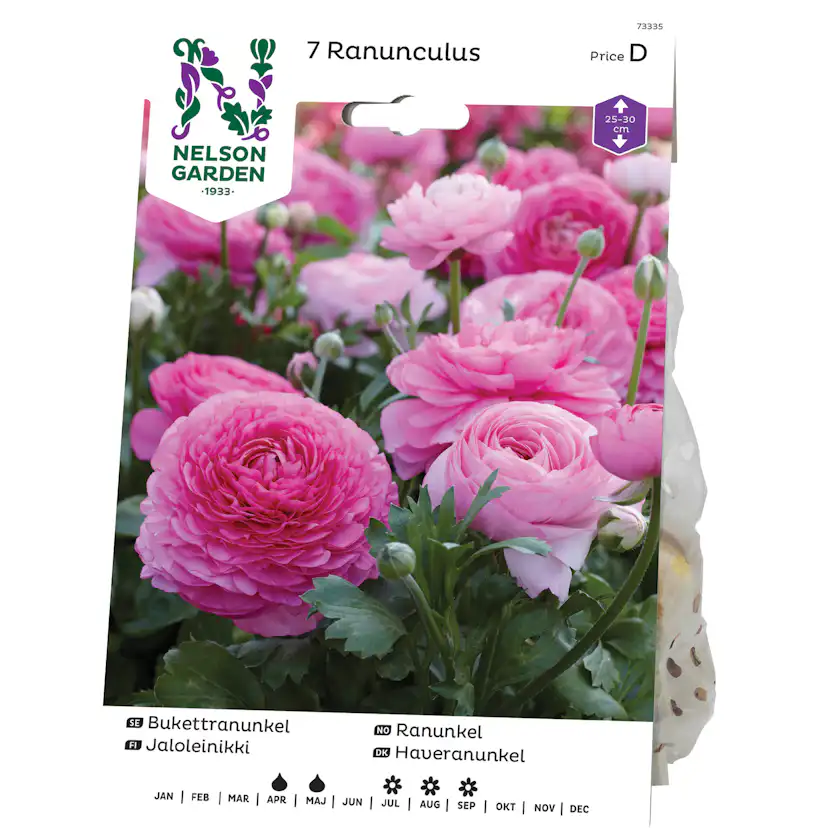 Bukettranunkel Nelson Garden Ranunculus