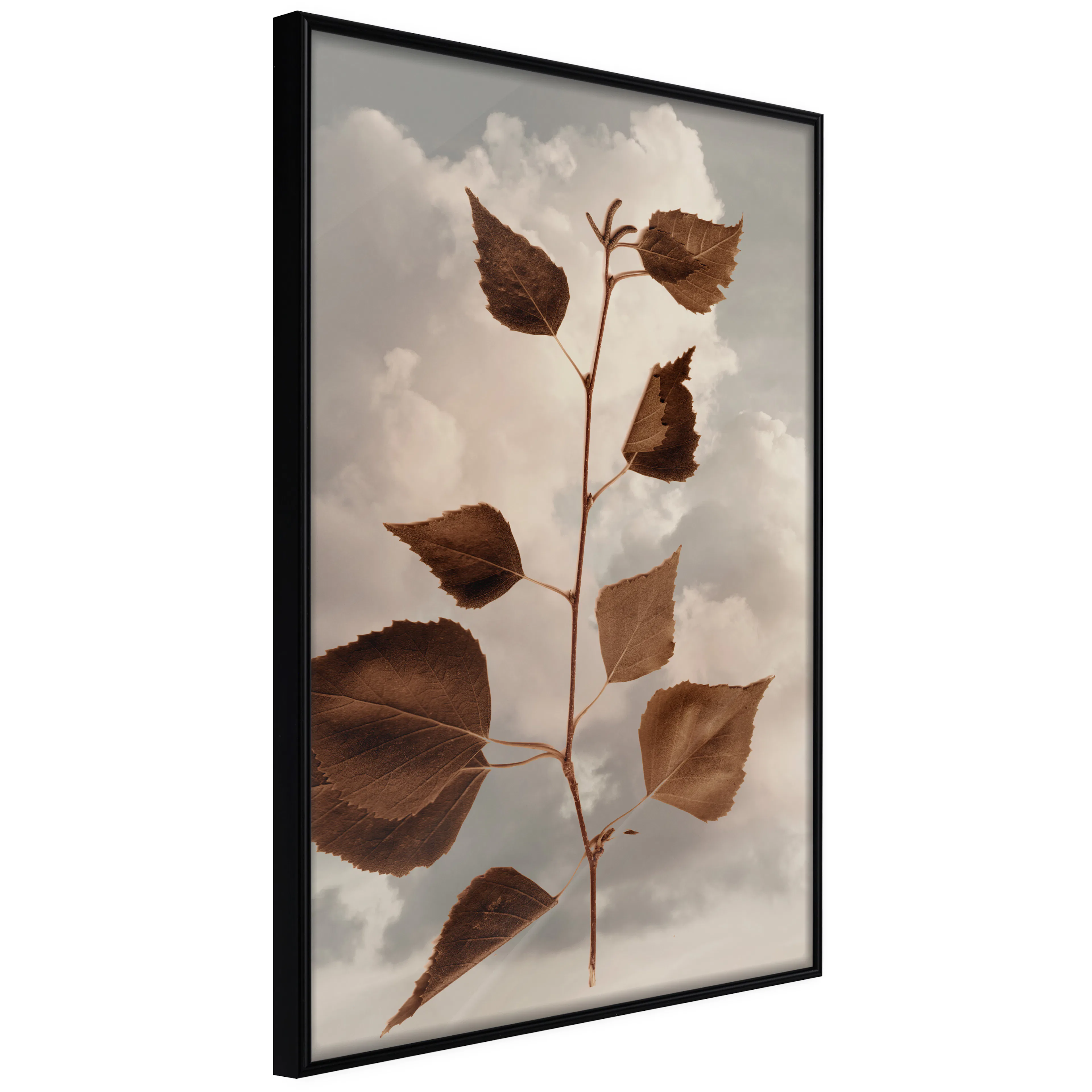 Affisch - September [Poster] 30x45 Svart ram, 30x45 cm