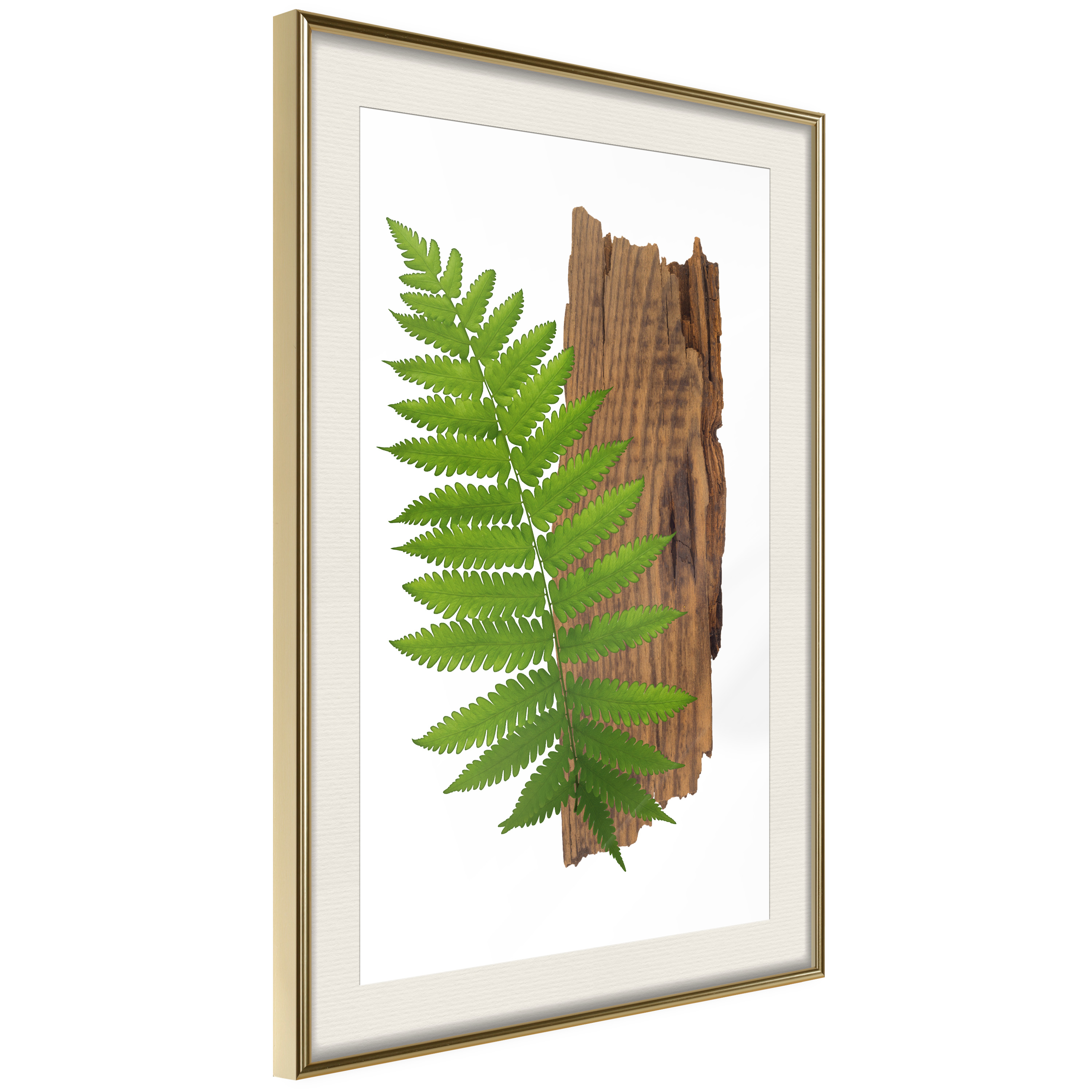 Affisch - Firmness of Nature [Poster] 20x30 Guld ram med passepartout, 20x30 cm