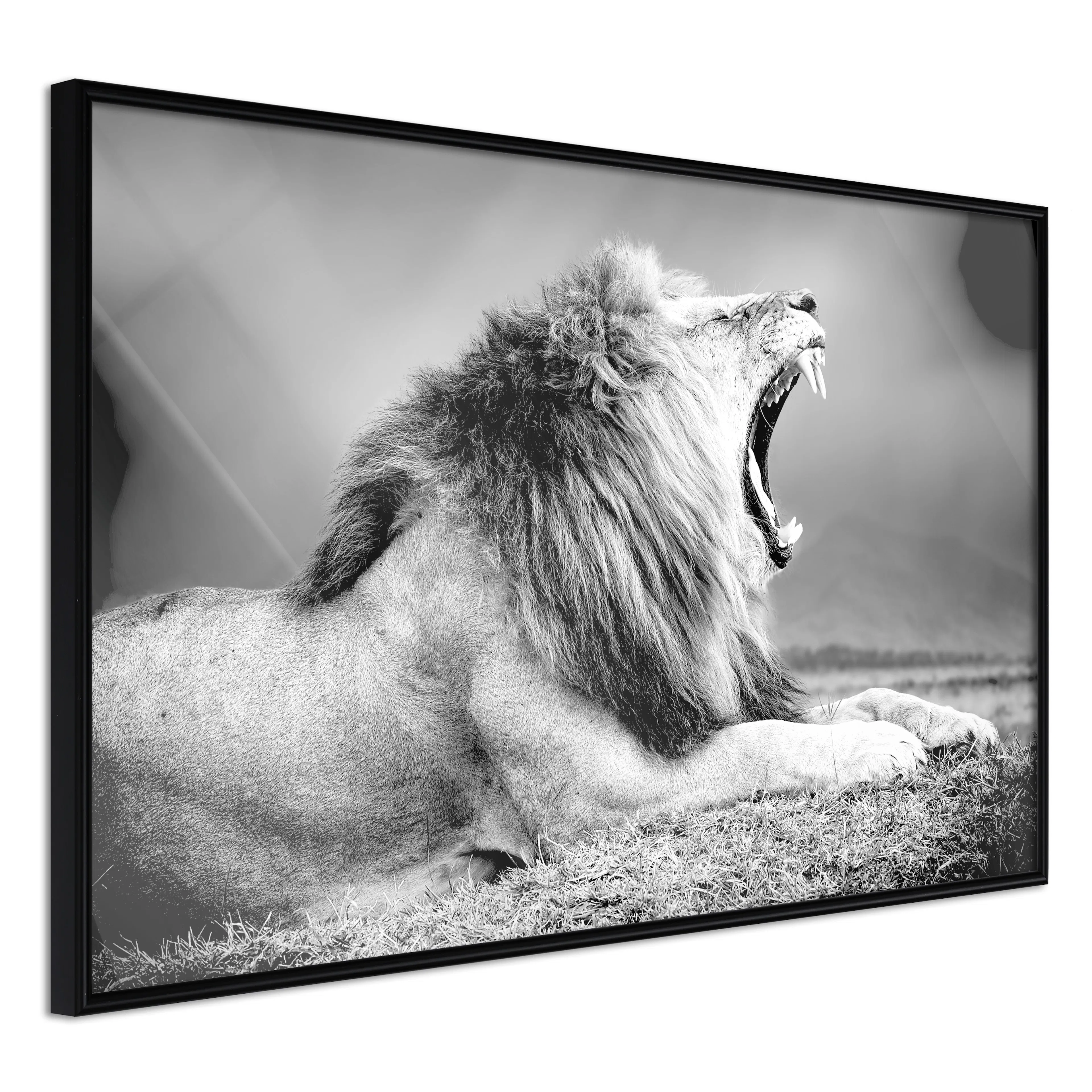 Affisch - Deafening Roar [Poster] 30x20 Svart ram, 30x20 cm