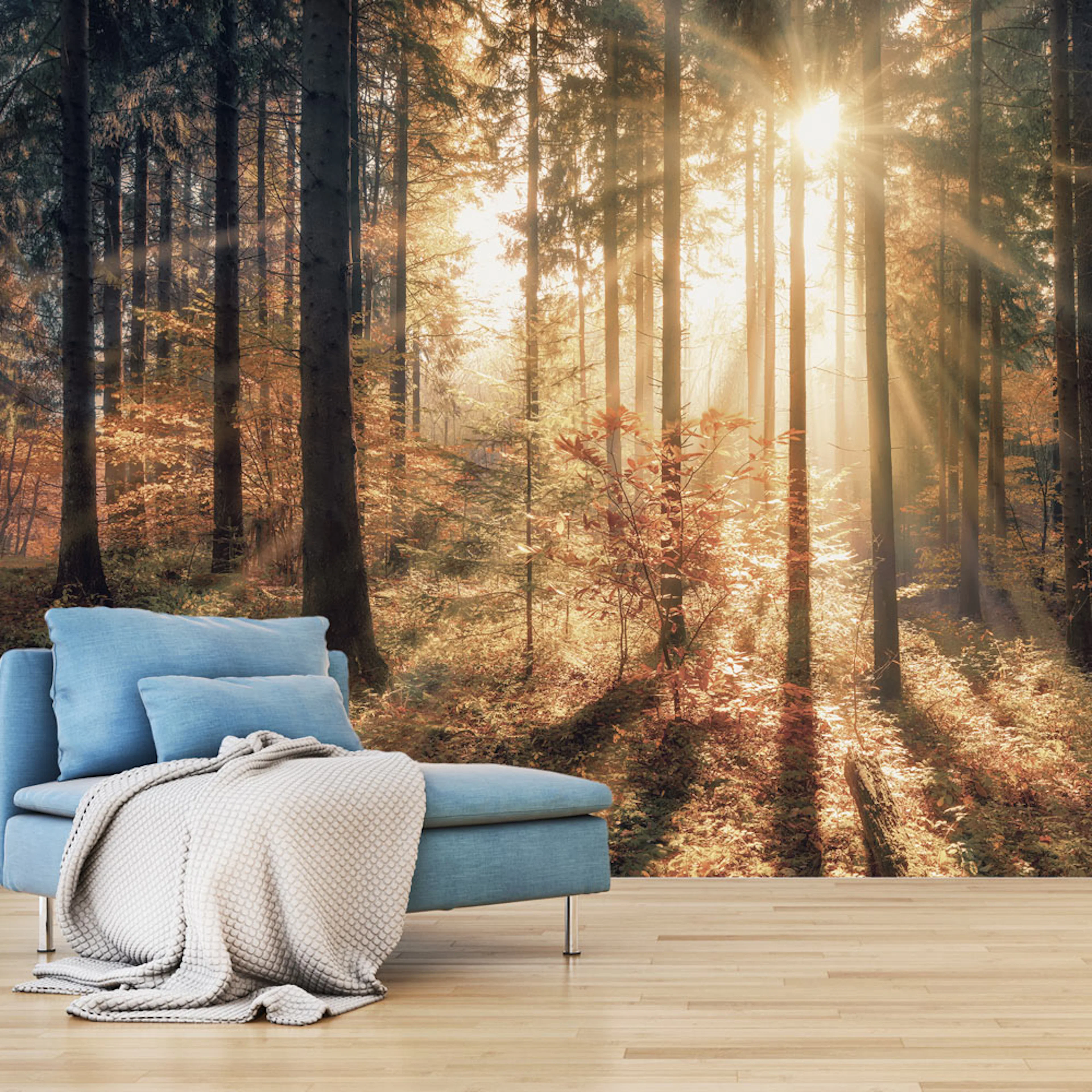 Fototapet Arkiio Självhäftande Självhäftande Autumnal Forest A3-SFT1261samA