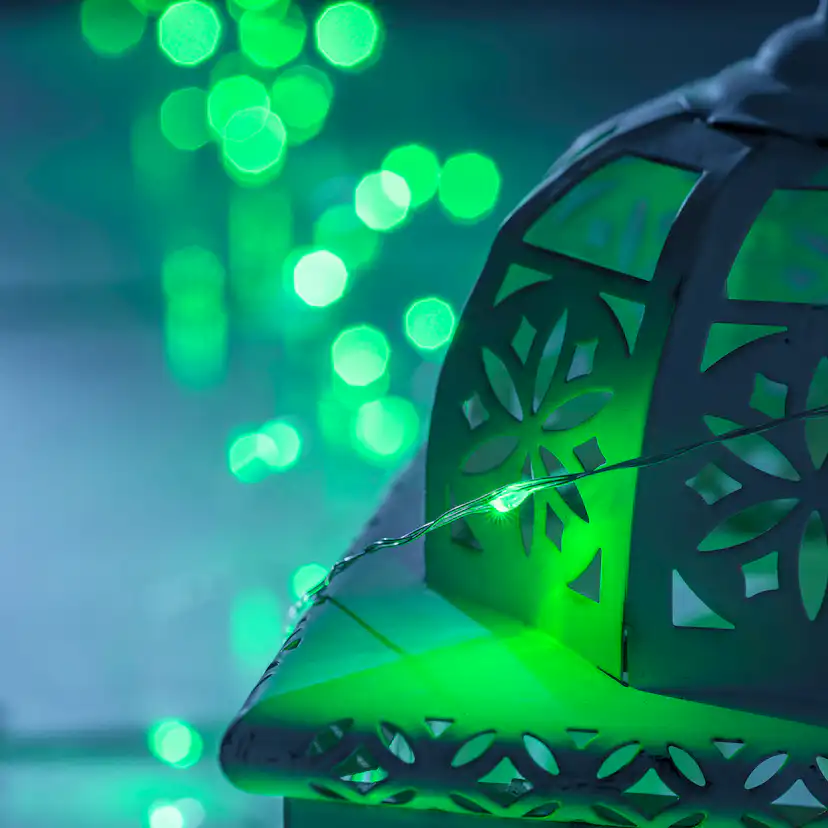 Ljusslinga Gnosjö Konstsmide RGB LED