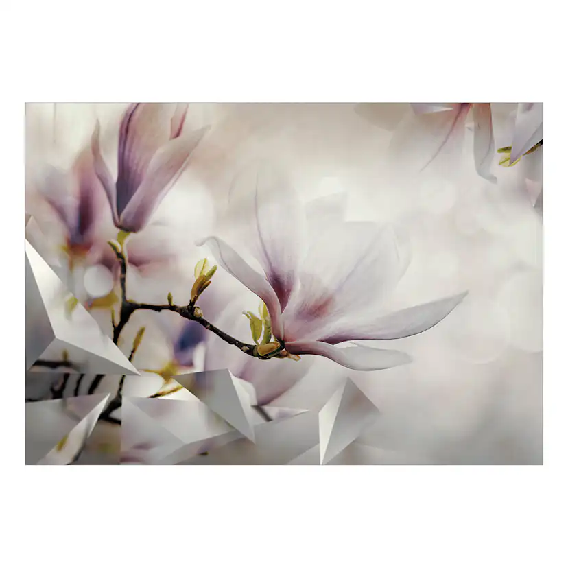 Fototapet Arkiio Subtle Magnolias - First Variant