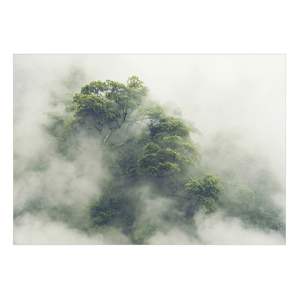 Fototapet Arkiio Foggy Amazon Självhäftande