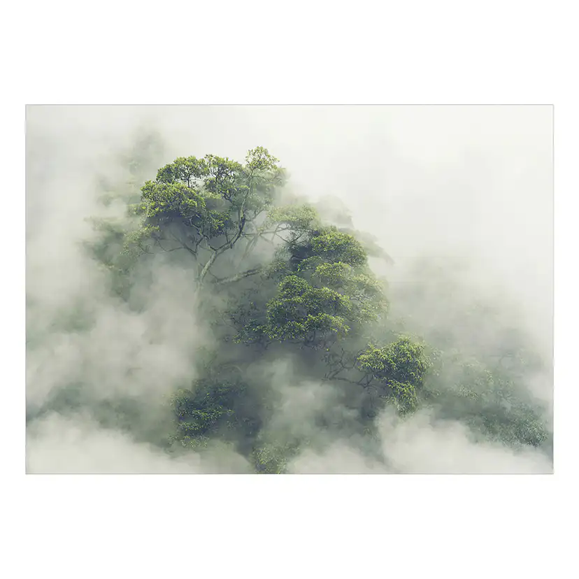 Fototapet Arkiio Foggy Amazon Självhäftande