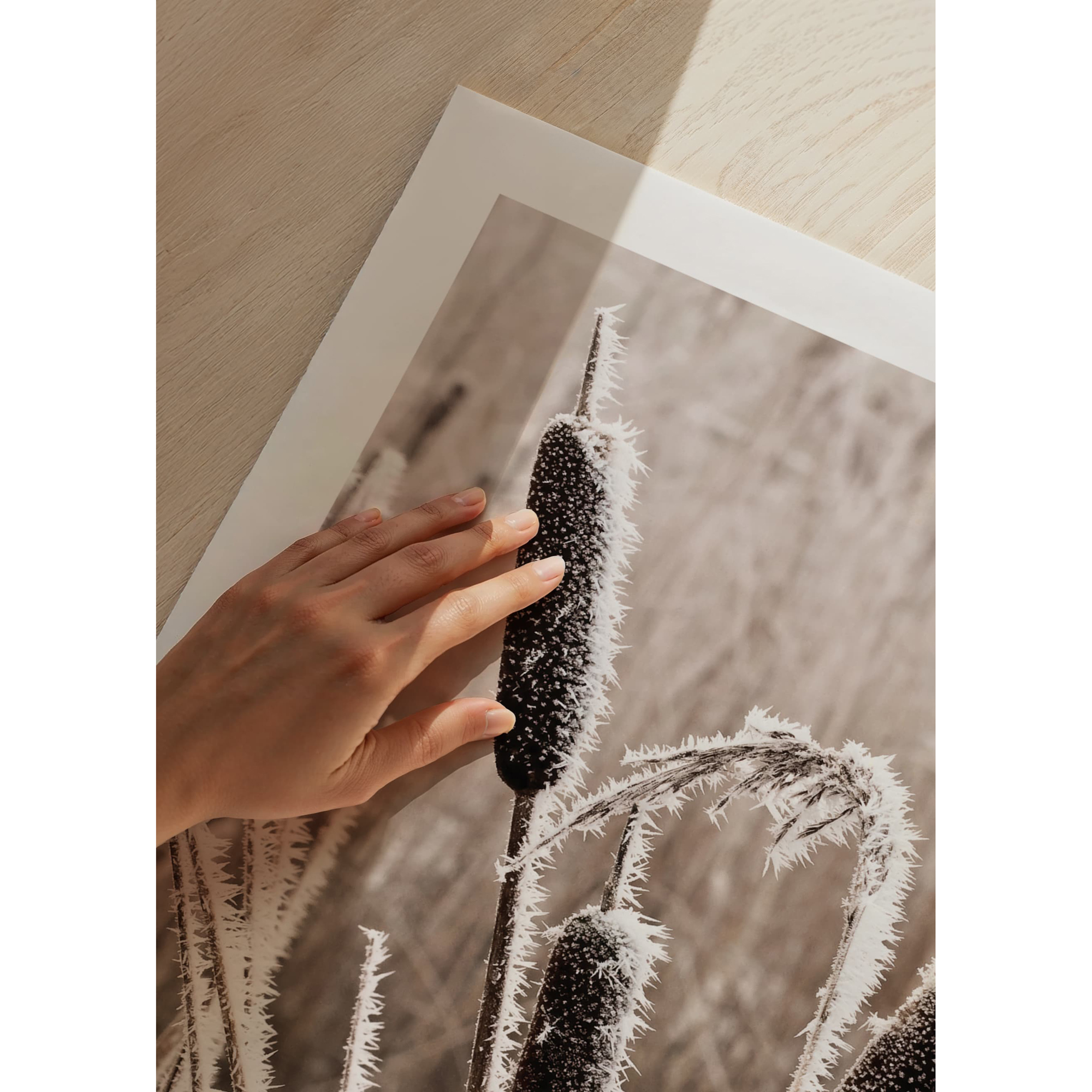 Poster Gallerix Frozen Reeds