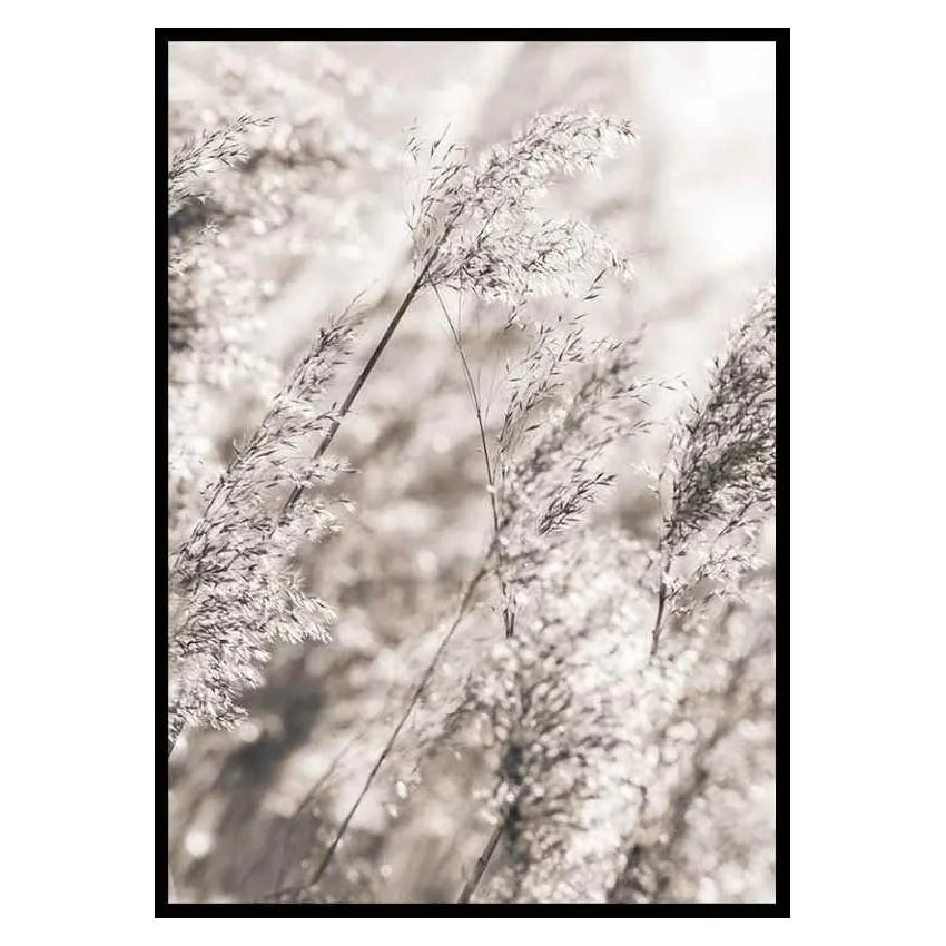Poster Gallerix Dried Plants No3