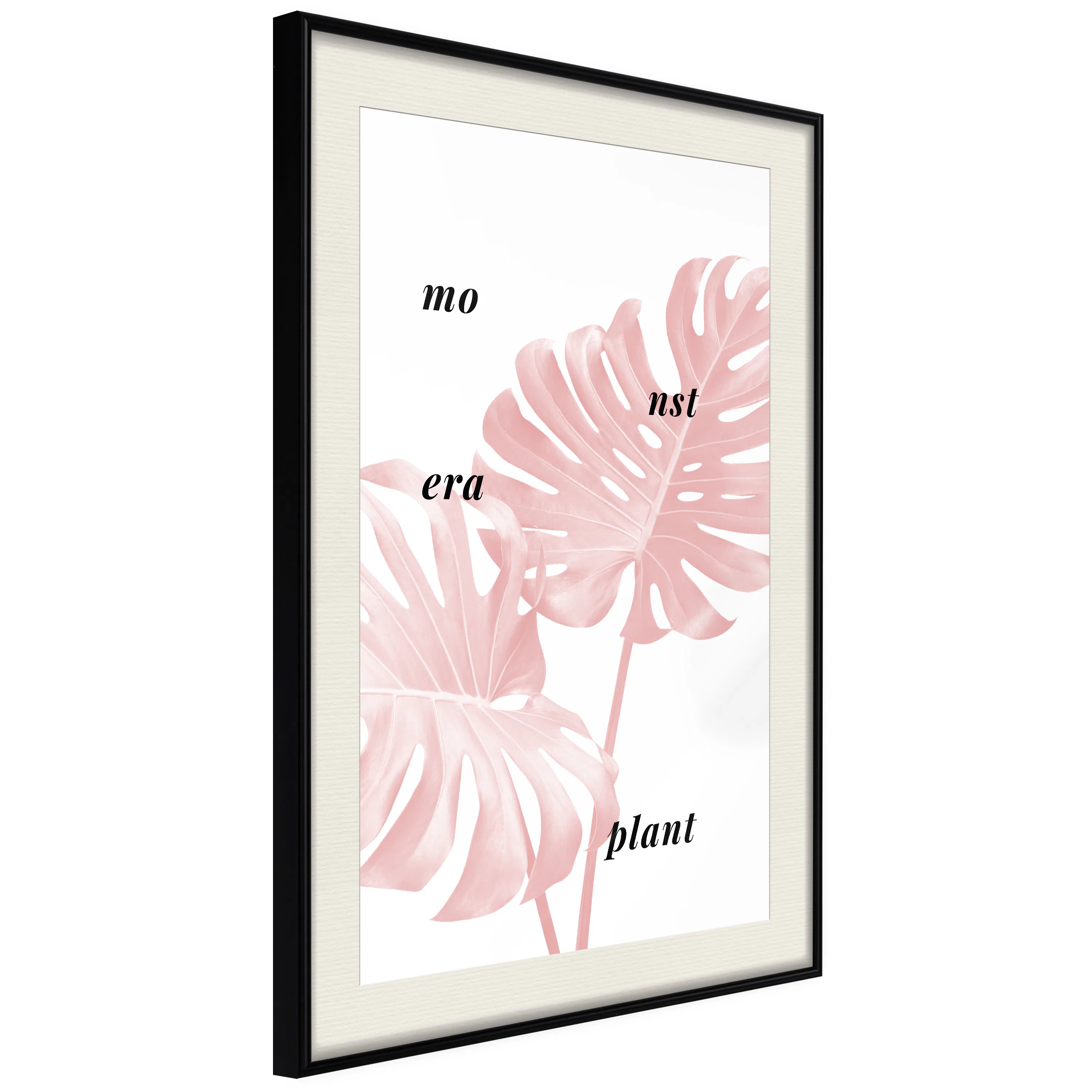 Poster Artgeist Affisch Monstera Plant