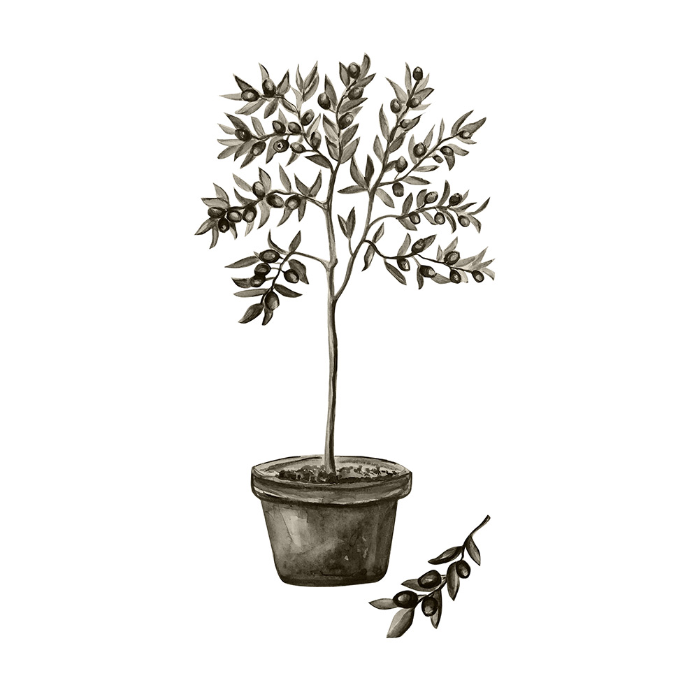 Posters Venture Home Olive Vit/grön