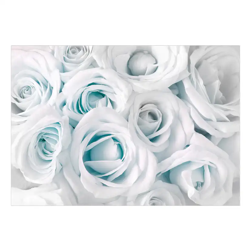 Fototapet Arkiio Självhäftande Satin Rose Turquoise
