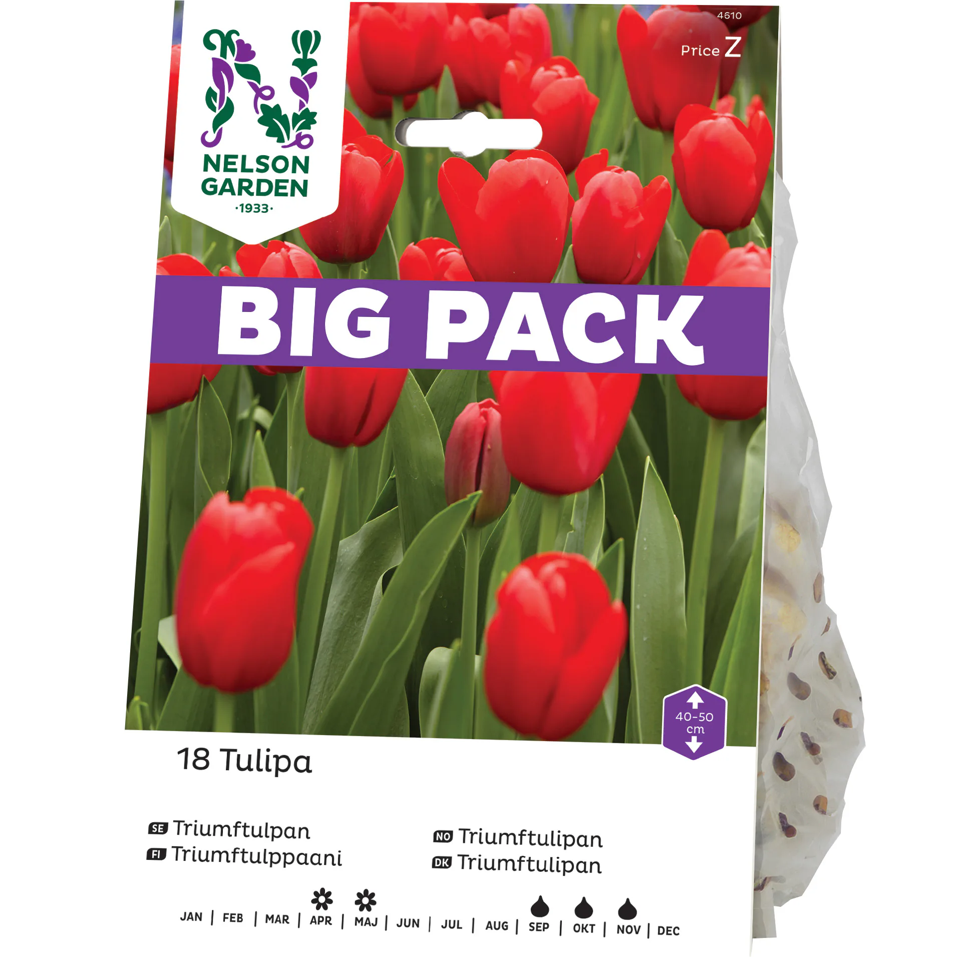 Triumftulpan Nelson Garden Röd Big Pack