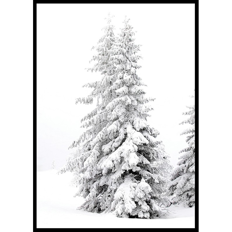 Poster Gallerix Snow Covered Pine Trees