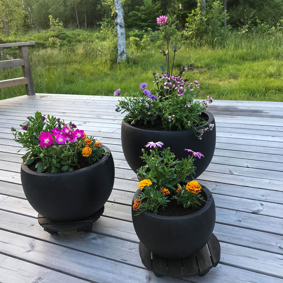 Kruka rund, svart 3-pack Färg Svart