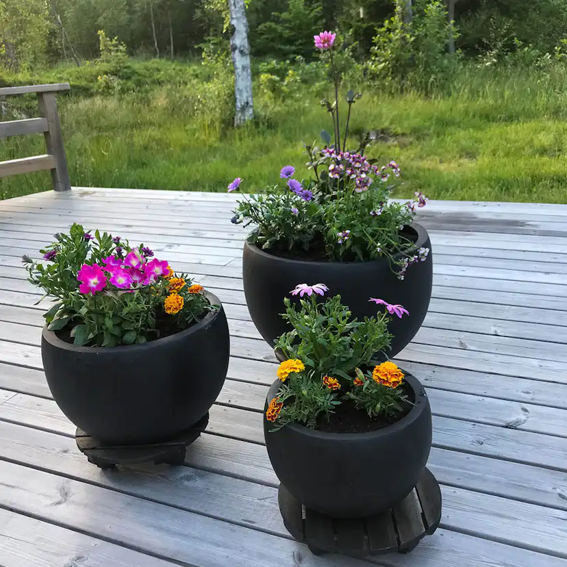 Kruka rund, svart 3-pack Färg Svart