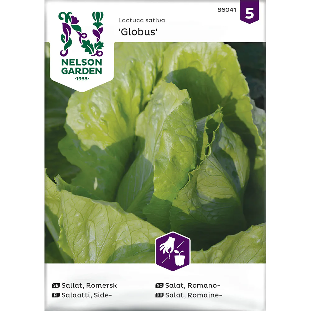 Frö Romersk Sallat Nelson Garden Globus