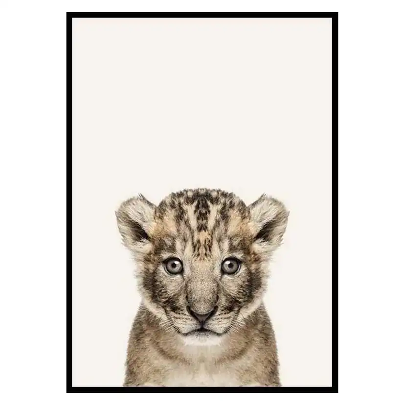 Poster Gallerix Baby Lion