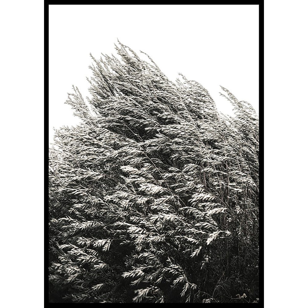 Poster Gallerix Bush Of Plants