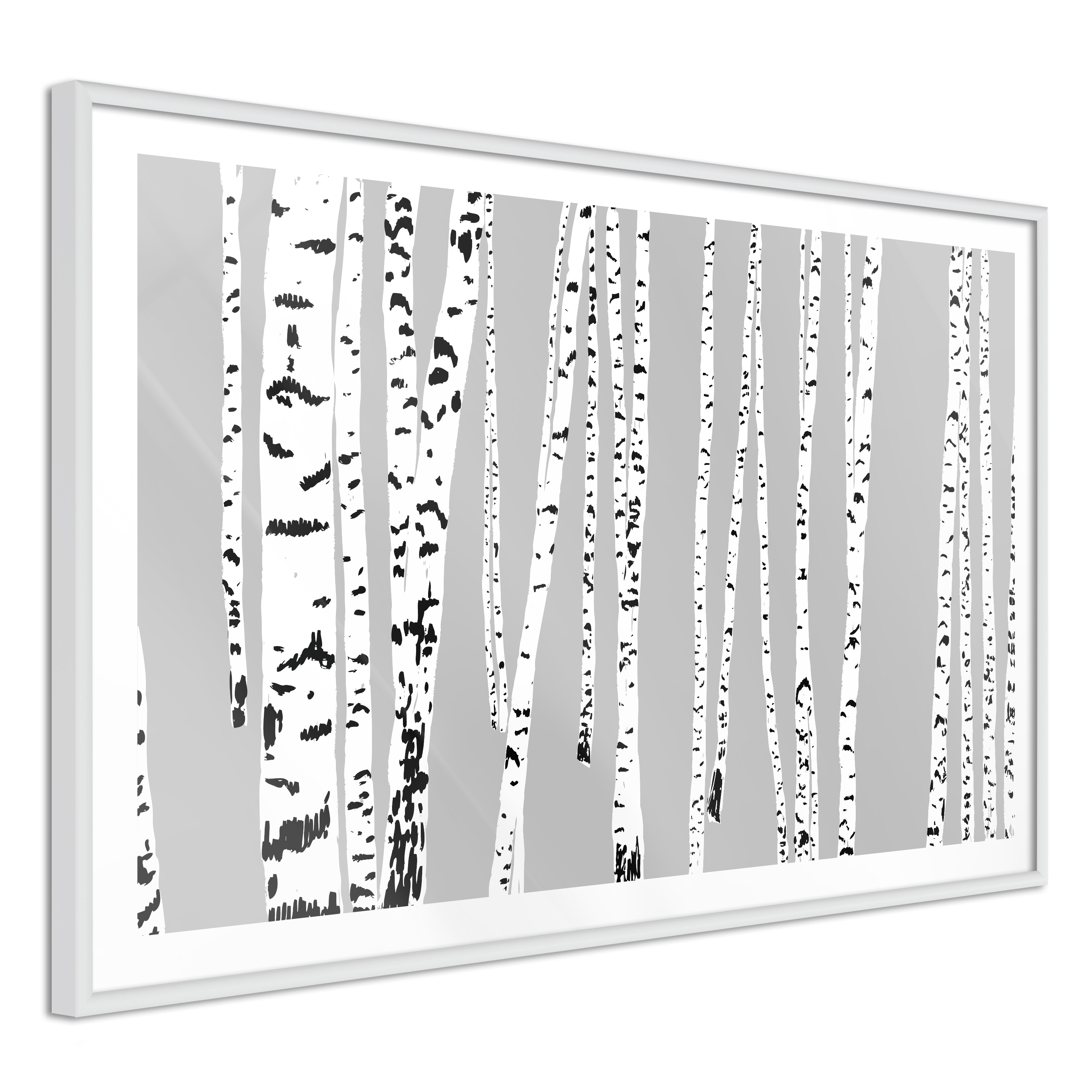 Poster Artgeist Affisch Birch