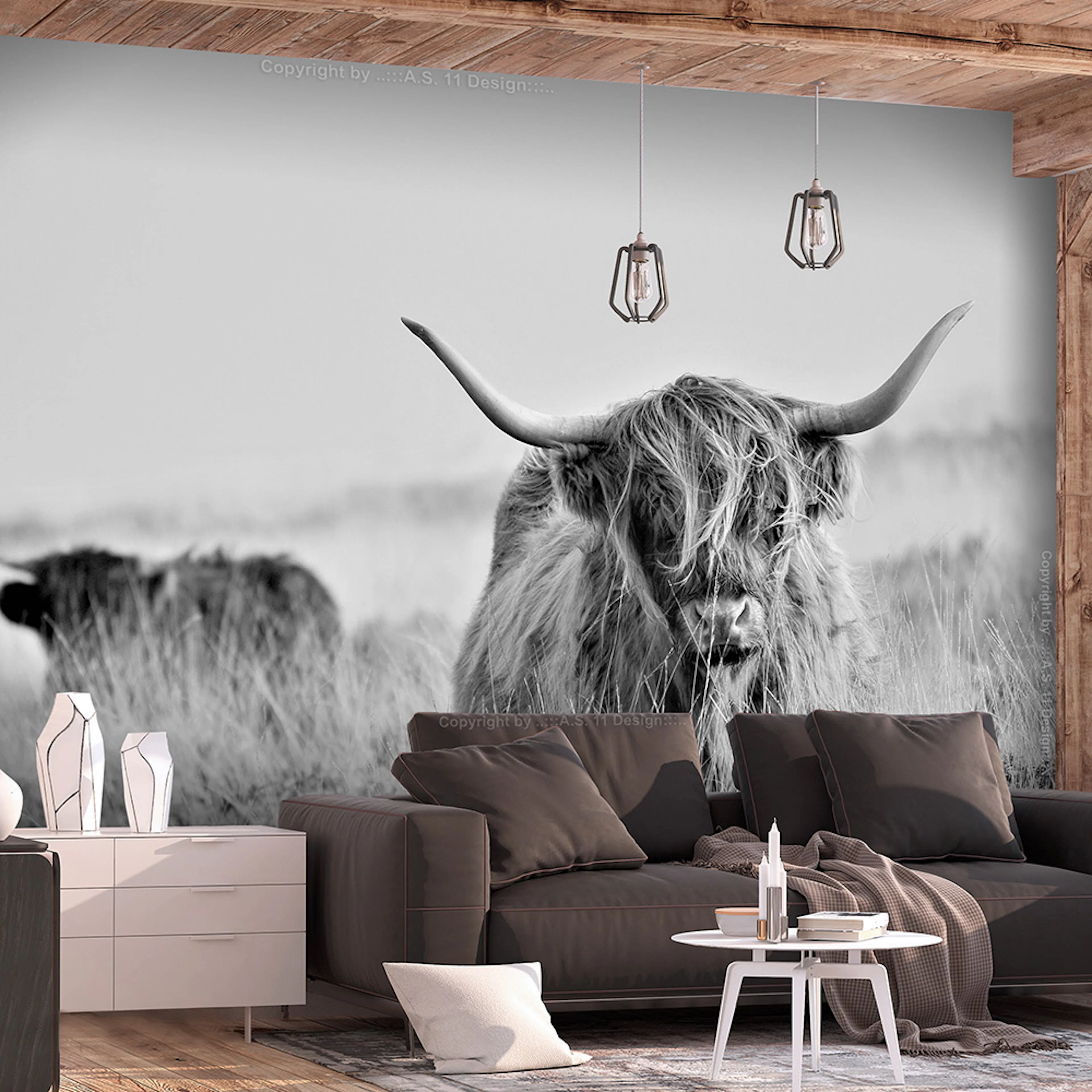 Fototapet Arkiio Highland Cattle Självhäftande