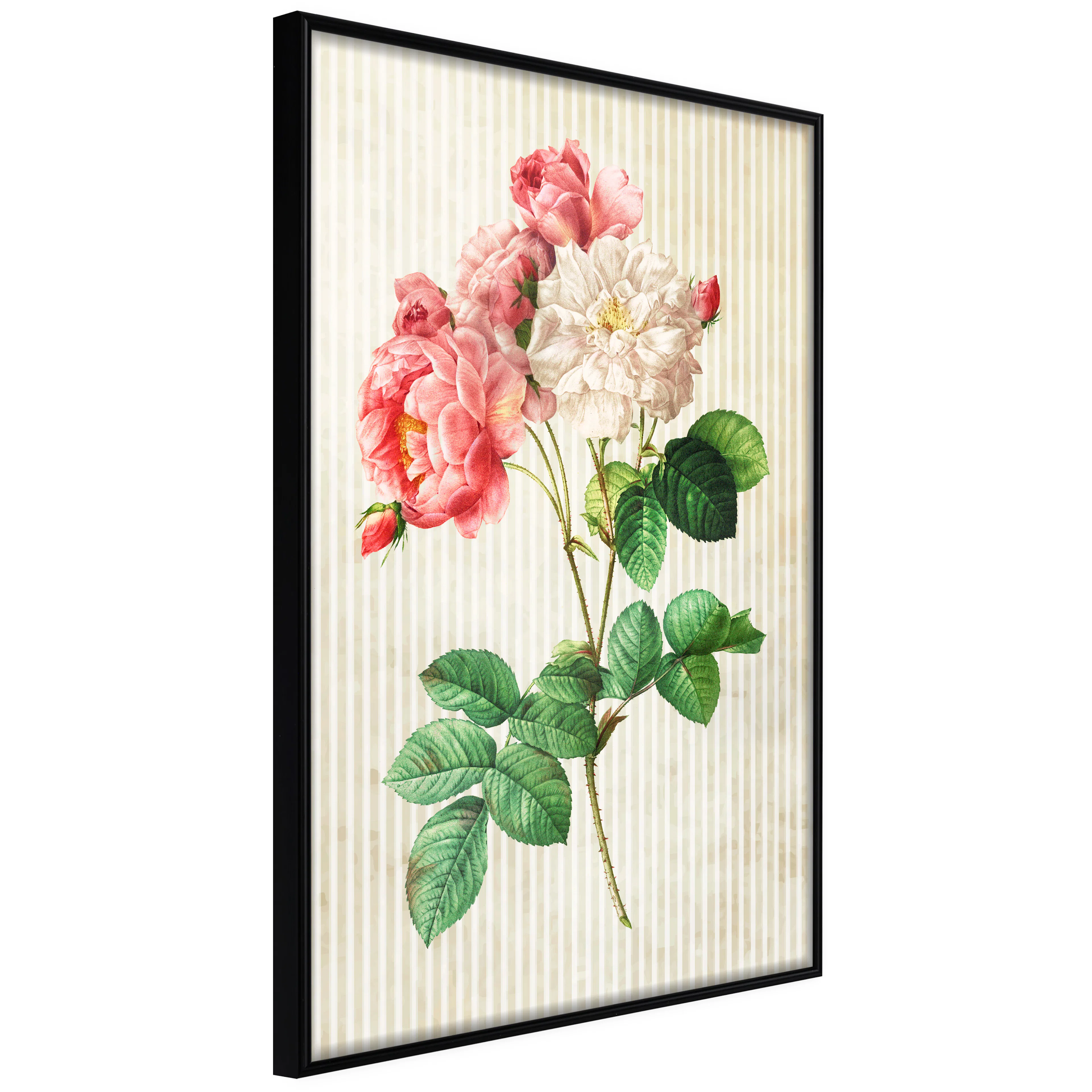 Affisch - Heavenly Rose [Poster] 20x30 Svart ram, 20x30 cm