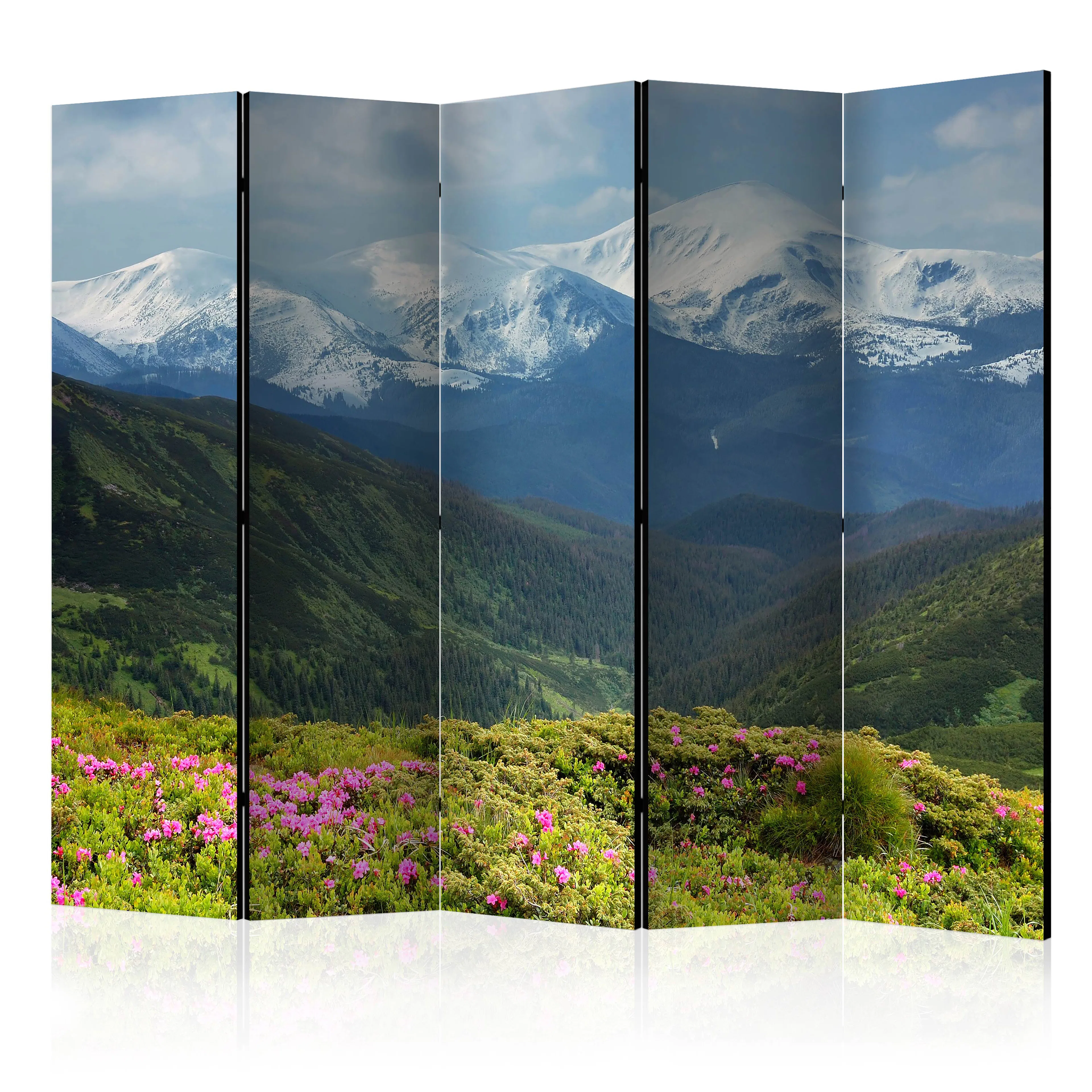 Rumsavdelare Skärmvägg Arkiio Spring Mountain Landscape II 225x172 cm