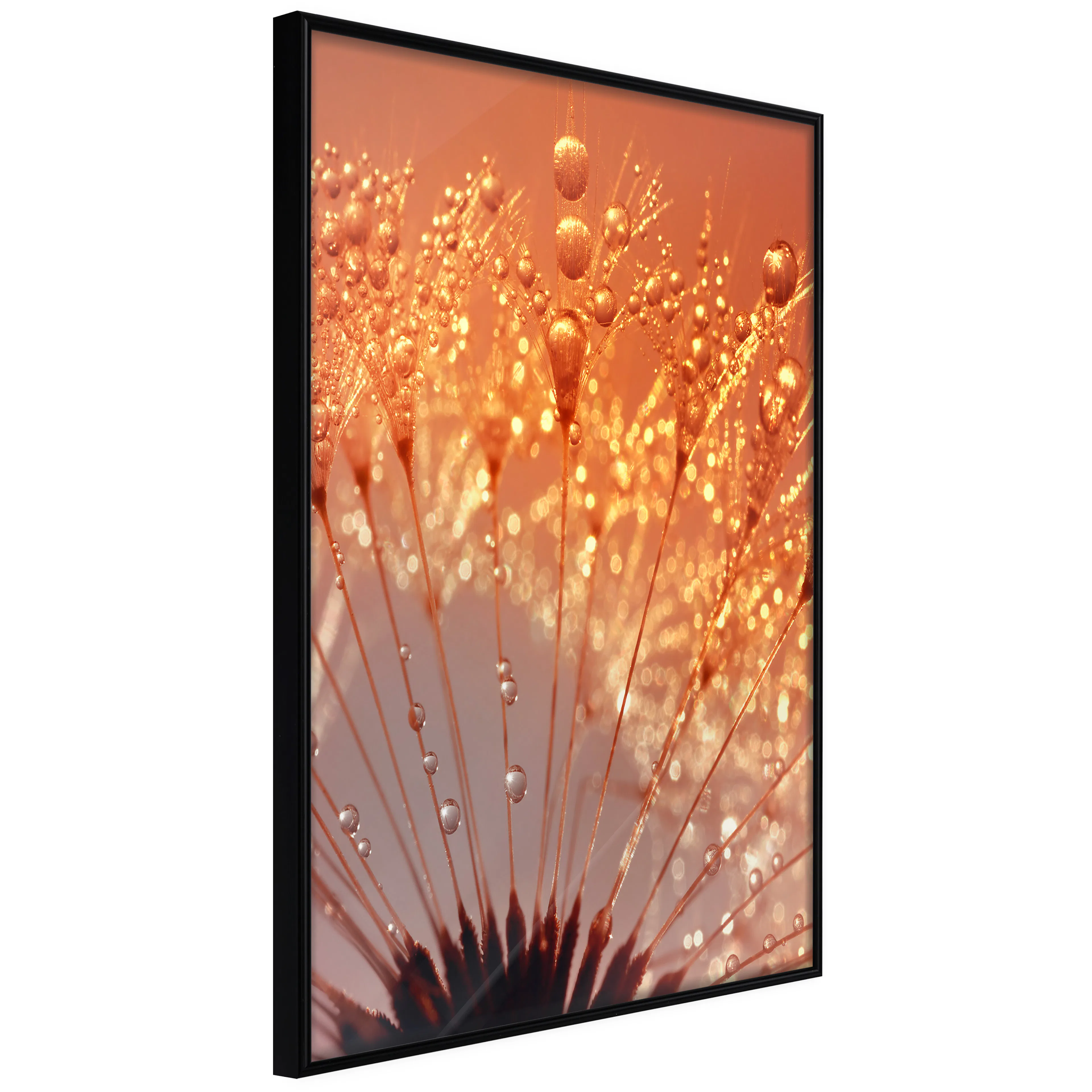 Affisch - Autumn Dandelion [Poster] 30x45 Svart ram, 30x45 cm