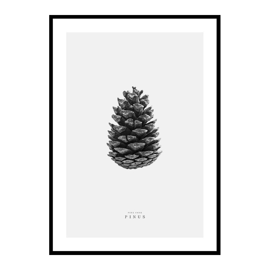 Poster Gallerix Winter Botany No2