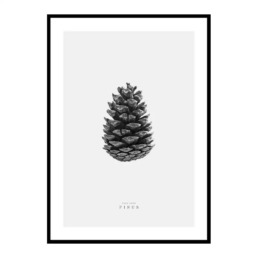 Poster Gallerix Winter Botany No2